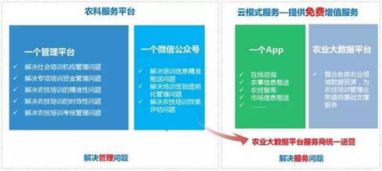 耕者為農，云為鋤——神州信息農業云的信息技術咨詢服務